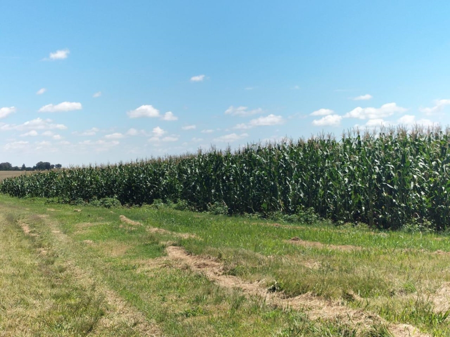 2 Bedroom Property for Sale in Bethlehem Rural Free State